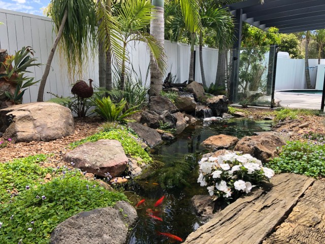 Pond Works built fish Pond